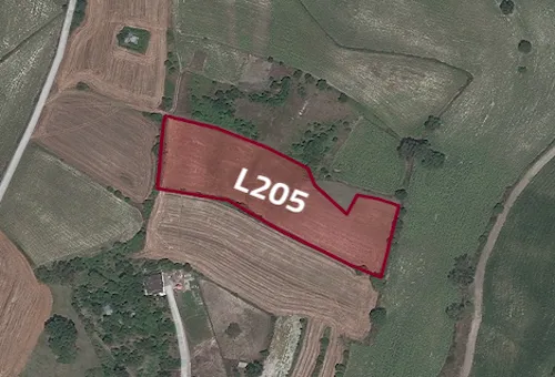 L205 Arnavtkoy Land