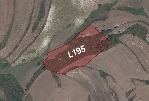 L195 Arnavtkoy Land