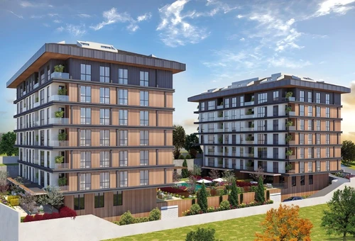 لا في جنكل كوي