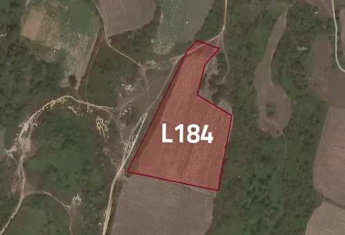 L184 Arnavtkoy Land