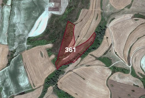 Agricultural land for sale in Çatalca, Kızılcaali Village | L361