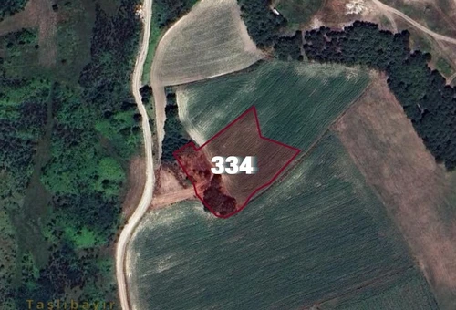 ارض للبيع في ارناؤوط كوي وتحديداً  سازلي بوسنه قريبة جداً من قناة اسطنبول | L334