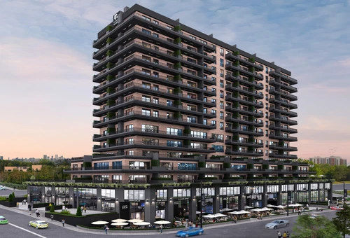 أنكا أتاشهير