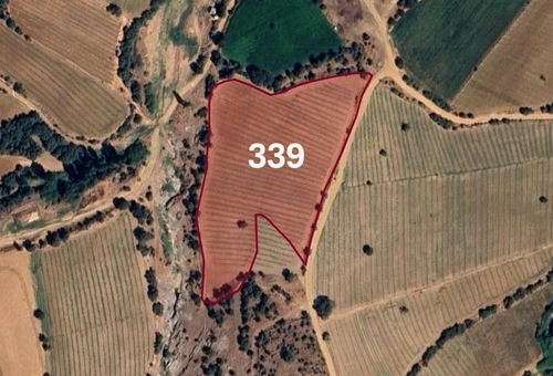 Agricultural Land for Sale in Manisa, Turkey, specifically in Kula | L339