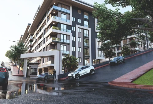 ميلسا جنكل كوي